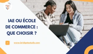 Lire la suite à propos de l’article IAE OU École de Commerce : Que choisir ?