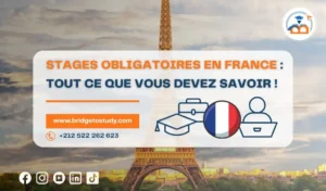 Lire la suite à propos de l’article Stages obligatoires en France : Tout ce que vous devez savoir !